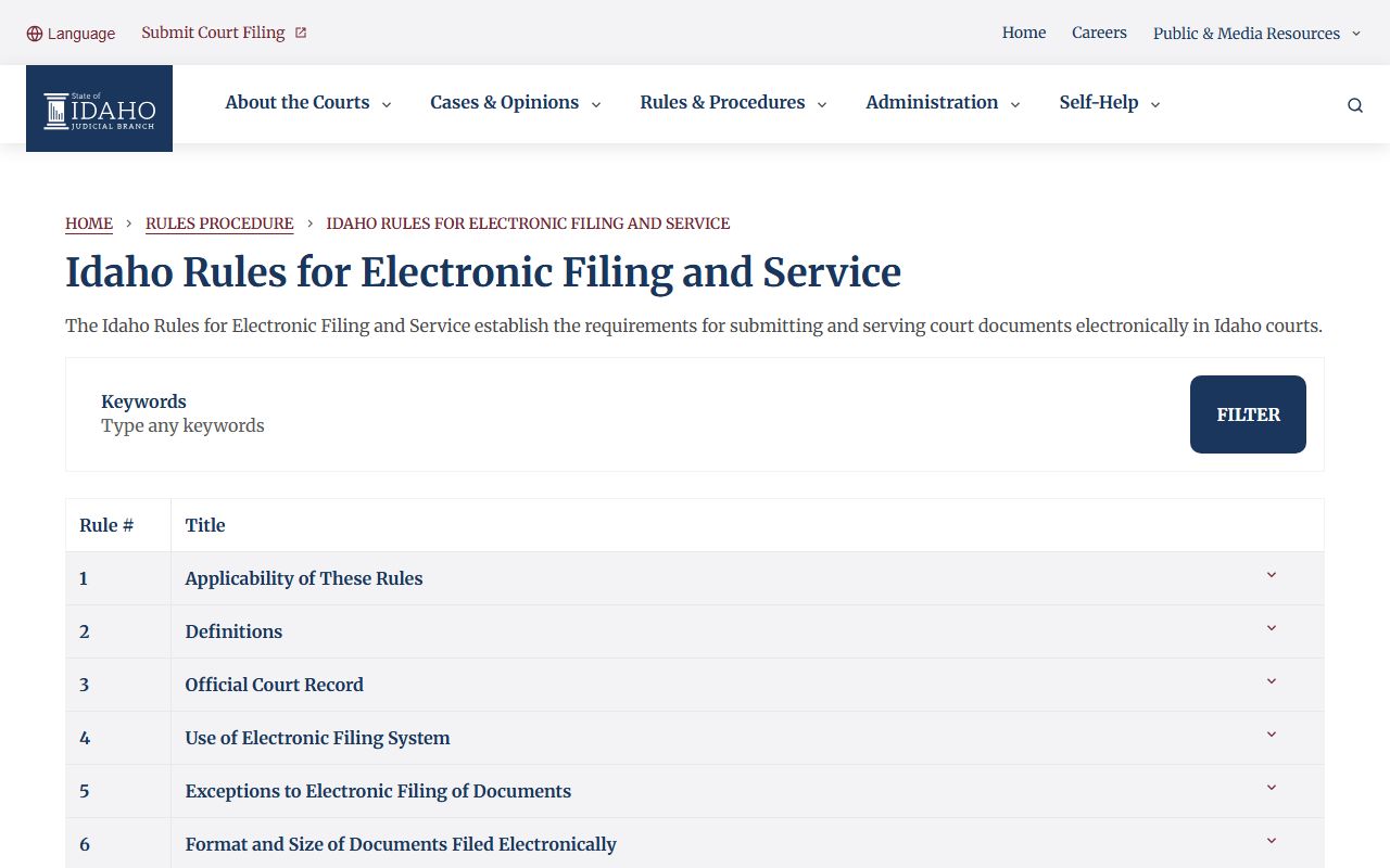 Custer County court records Idaho electronic filing rules